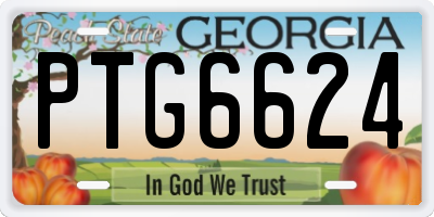 GA license plate PTG6624