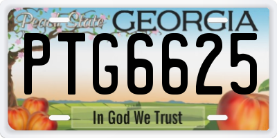 GA license plate PTG6625