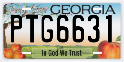 GA license plate PTG6631