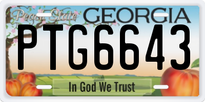 GA license plate PTG6643