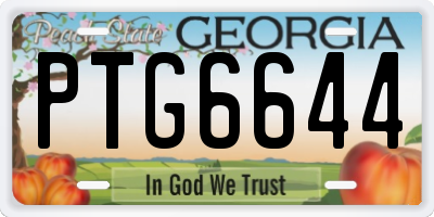 GA license plate PTG6644