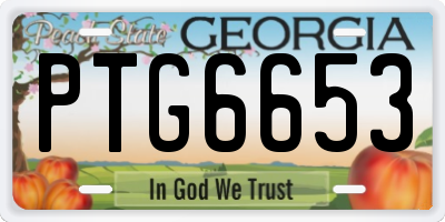GA license plate PTG6653