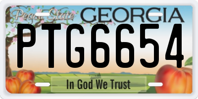 GA license plate PTG6654