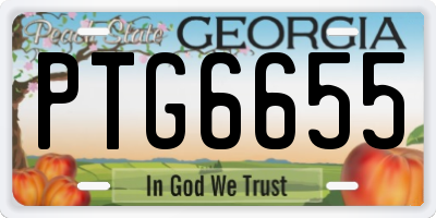 GA license plate PTG6655