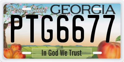 GA license plate PTG6677