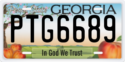 GA license plate PTG6689