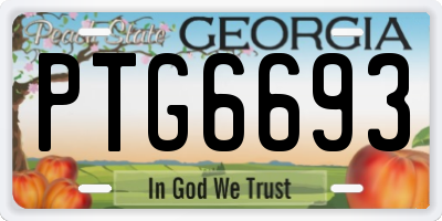 GA license plate PTG6693