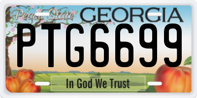 GA license plate PTG6699
