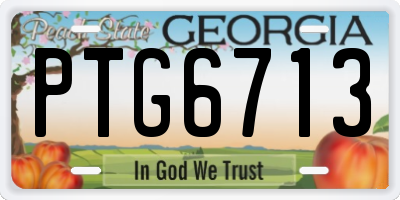 GA license plate PTG6713