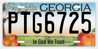 GA license plate PTG6725