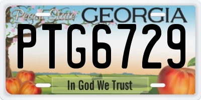 GA license plate PTG6729