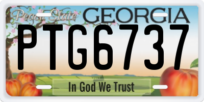GA license plate PTG6737