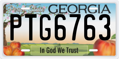 GA license plate PTG6763