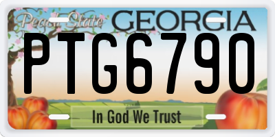 GA license plate PTG6790