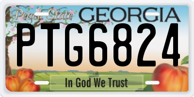 GA license plate PTG6824