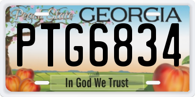 GA license plate PTG6834