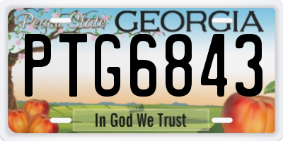 GA license plate PTG6843