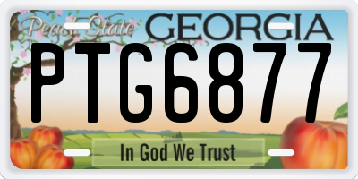 GA license plate PTG6877