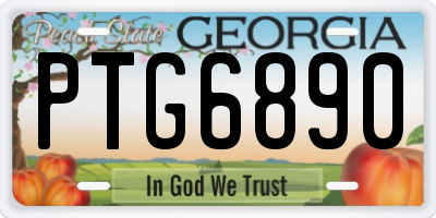 GA license plate PTG6890