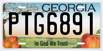 GA license plate PTG6891