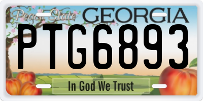 GA license plate PTG6893