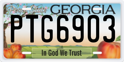GA license plate PTG6903