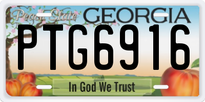 GA license plate PTG6916