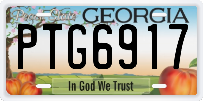 GA license plate PTG6917