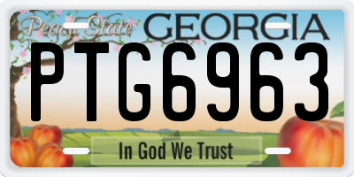 GA license plate PTG6963