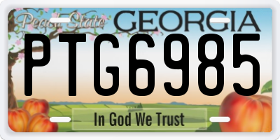 GA license plate PTG6985