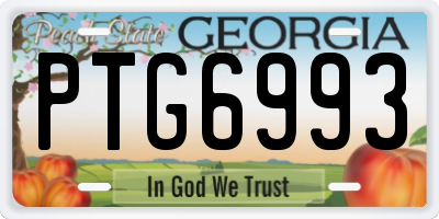GA license plate PTG6993