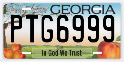 GA license plate PTG6999
