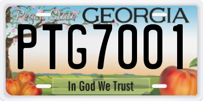 GA license plate PTG7001