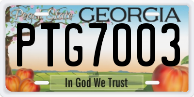 GA license plate PTG7003
