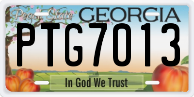 GA license plate PTG7013