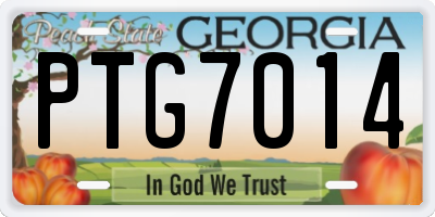 GA license plate PTG7014