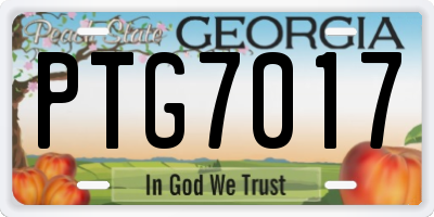 GA license plate PTG7017