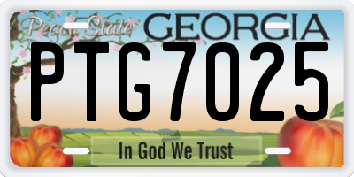 GA license plate PTG7025