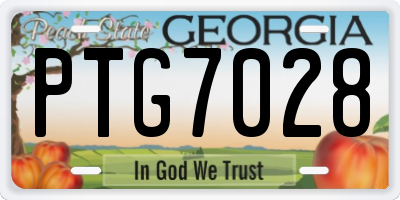 GA license plate PTG7028