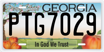 GA license plate PTG7029