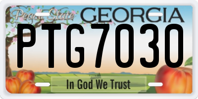 GA license plate PTG7030