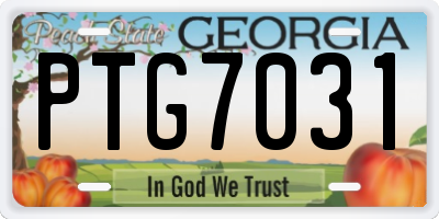 GA license plate PTG7031