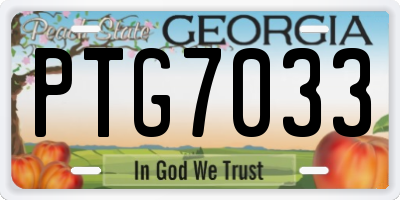 GA license plate PTG7033