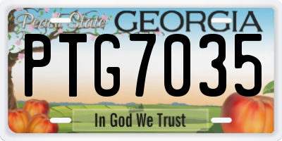 GA license plate PTG7035