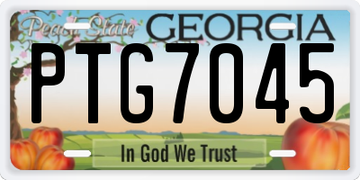 GA license plate PTG7045