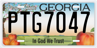 GA license plate PTG7047