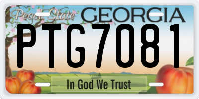GA license plate PTG7081