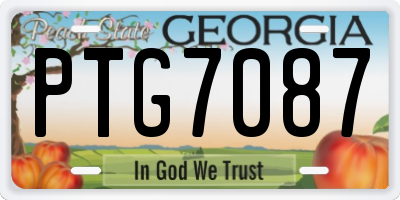 GA license plate PTG7087