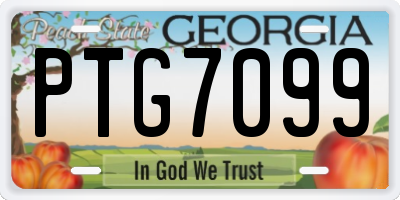 GA license plate PTG7099