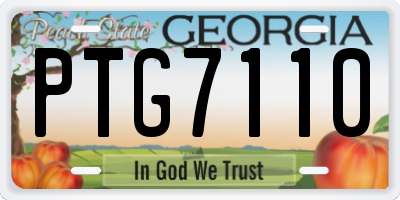 GA license plate PTG7110